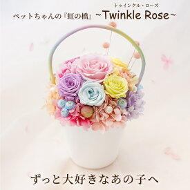 【日付指定可】お彼岸 ペット お供え 花 犬 お悔やみ 贈り物 命日 ペット供養 『ペットちゃん 虹の橋 トゥインクル ローズ』 アレンジメント 仏花 プリザーブドフラワー 仏壇用 お悔み お花 ギフト 四十九日 猫 即日発送 プリザ アジサイ バラ カーネーション