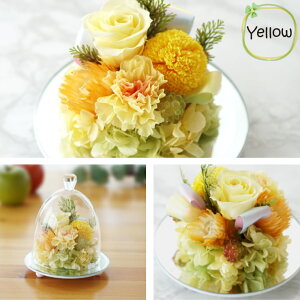 ytwzފ ybg  vU[uht[  KXh[  ~j  w ybg   h[ x ybg{   蕨     P