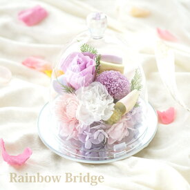 【日付指定可】お彼岸 ペット お供え プリザーブドフラワー 花 ガラスドーム 仏花 ミニ お悔やみ 『 ペット ちゃん お供え ドーム 』 ペット供養 犬 供花 贈り物 一周忌 花 お供え物 命日 ケース入り 造花 仏壇用 お花 供養 お供物 プリザ ブリザードフラワー