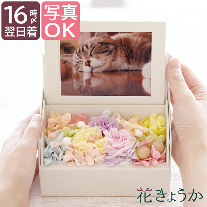 楽天市場 お供え花ギフト専門店 生花 プリザ ハーバリウム等様々な形でお花を販売 お供え花ギフト専門店 花きょうか トップページ 楽天市場 お供え花ギフト専門店 生花 プリザ ハーバリウム等様々な形でお花を販売 お供え花ギフト専門店 花きょうか トップページ