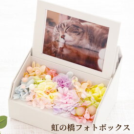 【日付指定可】お彼岸 ペット メモリアル メモリアルグッズ 写真立て お彼岸 『 ペットちゃんの『 虹の橋 』〜 フォトボックス 〜 』 ペット供養 犬 お悔やみ 贈り物 供花 お供え 花 命日 ペット供養 フォトフレーム 仏花 プリザーブドフラワー お供え花 四十九日