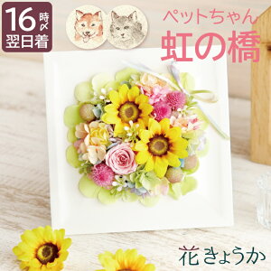 ytwzފ ybg{ vU[uht[  ~j  w ̋ Ђ܂ {bNX nslX x ybg     蕨  茳{ {  