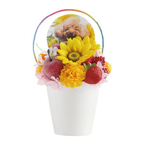 ytwzފ   vU[uht[  ybg  ފ݁w ̋ Ђ܂ ptF x  L 蕨 ybg{  AWg  ~j A