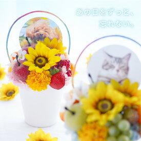 【日付指定可】お彼岸 お供え 花 プリザーブドフラワー 仏花 ペット お悔やみ お彼岸『 虹の橋 ひまわり パルフェ 』 犬 猫 贈り物 ペット供養 お供え物 アレンジメント 造花 ミニ メモリアル 写真 遺影 供養花 命日 供花 仏壇 仏壇用 お供え花 四十九日 一周忌