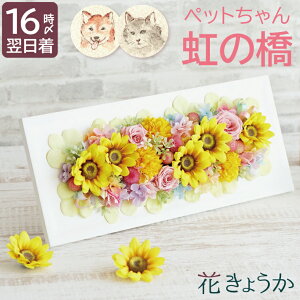 ytwz ybg{ vU[uht[   dp w ̋ Ђ܂ {bNX v~A nslX x ybg     蕨  茳{ {  