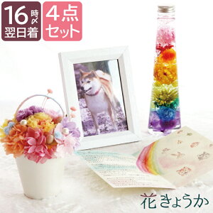 犬 お悔やみ 花の人気商品 通販 価格比較 価格 Com