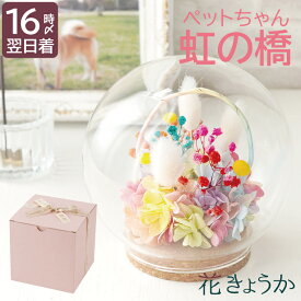 【あす楽＆日付指定可】 ペット お供え 花 プリザーブドフラワー 仏花 ドーム 『 虹の橋 しゃぼん玉 』 ガラスドーム アレンジ 犬 お悔やみ 贈り物 ペット供養 手元供養 ペット仏壇 お供え物 お供え花 かすみ草 ラグラス 猫 鳥 インコ うさぎ ハムスター プリザ お彼岸 お盆