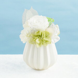 ytwzފ vU[uht[    l\w   x dp ~jTCY  d  䕧O  ͂Ȃ  @ @v 