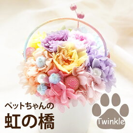 【日付指定可】お彼岸 ペット お供え 花 犬 お悔やみ 贈り物 命日 『ペットちゃん 虹の橋 Twinkle』 お供え花 アレンジ 仏花 プリザーブドフラワー ミニ 造花 仏壇 枯れない花 お悔み ペット供養 ギフト 法要 供物 お供え物 即日発送 四十九日 アレンジメント 猫
