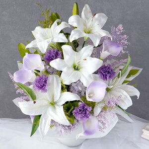 ytwzފ     w ͂Ȃ 䋟 AW Lilyx vU[uht[  A[eBtBVt[ S  蕨   