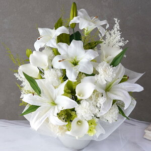 ytwzފ     w ͂Ȃ 䋟 AW Lilyx vU[uht[  A[eBtBVt[ S  蕨   