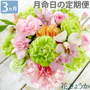  wԂ̒()yR[X3zx     w AWg ԑ   蕨 
