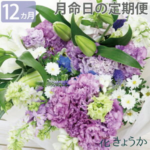  wԂ̒()yɂR[X12zx     w AWg ԑ   蕨 