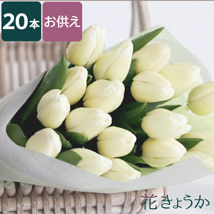 楽天市場 7日前予約品 法事 お供え 花 49日 お盆 お供え用白い チューリップ の本の 花束 初盆 新盆 お墓参り お悔やみ の花 ペット供養 供養花 お供え花 おしゃれ 四十九日 法要 一周忌 三回忌 お花 枕花 仏事 仏花 供花 命日 献花 楽天市場 7日前予約品 法事 お供え 花 49日 お盆 お供え用白い チューリップ の本の 花束 初盆 新盆 お墓参り お悔やみ の花 ペット供養 供養花 お供え花 おしゃれ 四十九日 法要 一周忌 三回忌 お花 枕花 仏事 仏花 供花 命日 献花
