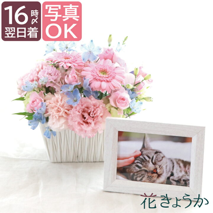 楽天市場 あす楽16時まで 命日 お供え 花 ペット 犬 メモリアル お彼岸 星になったあの子へab お悔やみ 贈り物 アレンジメント 生花 メモリアルグッズ 写真立て お花 ギフト お供え花 アレンジ 花束 かわいい 供養花 ペット用 供花 フラワーアレンジメント
