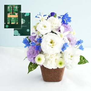 ytwzފ  َq 蕨 [[  Mtg w  AW  i Zbg x   5000~ d  AWg [[ R[q[ X^o Ђ