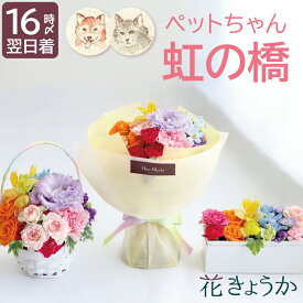 【あす楽＆日付指定可】 ペット お悔やみ 花 生花 アレンジメント お供え 仏花 供養 『 虹の橋 エールフラワー 』 そのまま飾れる 花束 ボックスフラワー 犬 贈り物 命日 仏壇用 お花 ペット供養 ギフト 法要 お供え物 供物 法事 お供え花 四十九日 49日 猫 鳥 お彼岸 お盆