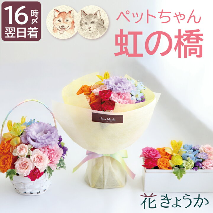 楽天市場 あす楽16時まで ペット お悔やみ 花 生花 アレンジメント お供え 仏花 虹の橋 エールフラワー そのまま飾れる 花束 ボックスフラワー 犬 贈り物 命日 仏壇用 お花 ペット供養 ギフト 法要 お供え物 供物 法事 お供え花 献花 四十九日 49日 猫 鳥 楽天市場 あす楽16時まで ペット お悔やみ 花 生花 アレンジメント お供え 仏花 虹の橋 エールフラワー そのまま飾れる 花束 ボックスフラワー 犬 贈り物 命日 仏壇用 お花 ペット供養 ギフト 法要 お供え物 供物 法事 お供え花 献花 四十九日 49日 猫 鳥
