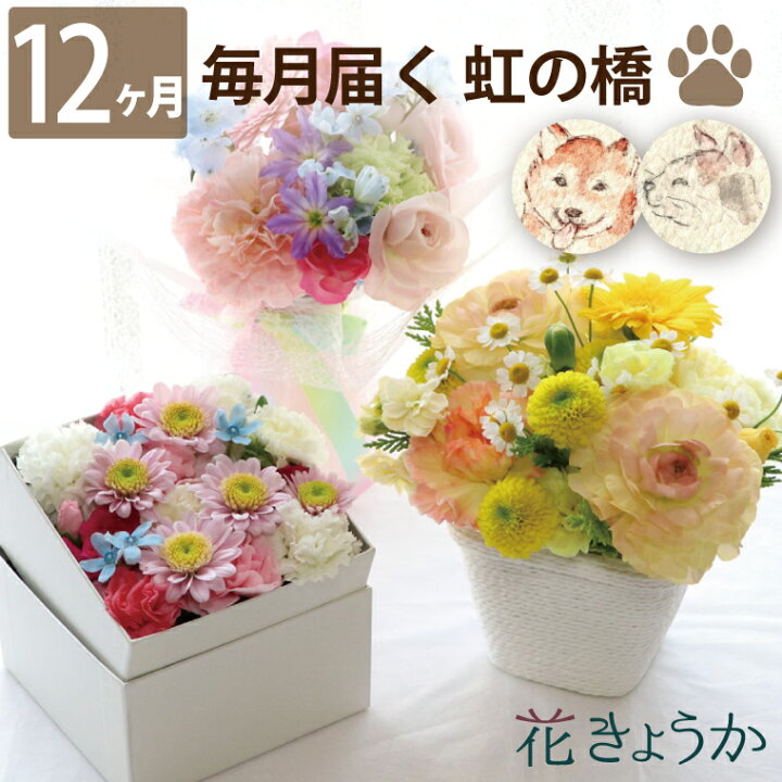 楽天市場 生花 犬 猫 お供え 頒布会 ペット ちゃん 花 の 定期便 虹の橋 12ヶ月 送料無料 お供え花 アレンジ お悔やみ 贈り物 命日 お供え花ギフト専門店 花きょうか