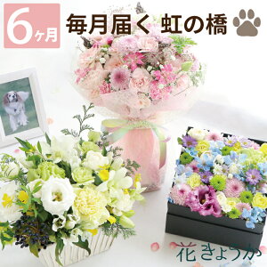 ybg     L Еz w ̋  ӂӃR[X 6 x   AW  蕨 