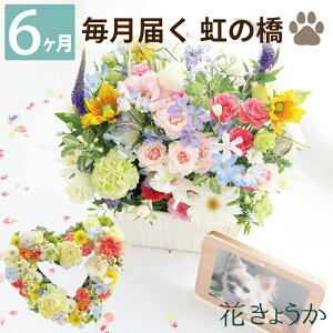 ybg     L Еz w ̋  ӂӂR[X 6 x   AW  蕨 