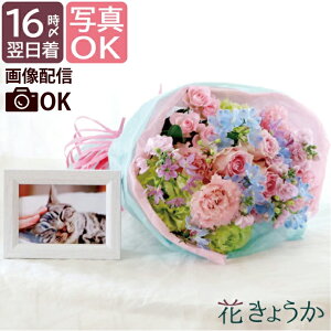 ytwzފ ybg    AWg  ybg{ wɂȂ̎qACx ފ   L  ʐ^ 킢 tHgt[ 蕨 { 