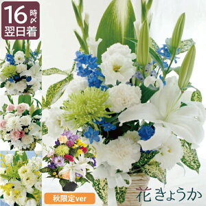 ytwzފ  Zbg  AWg Ђ܂   w  ܂AW  ԑyBzx SȂ  蕨 l\ 䕧O  @ 