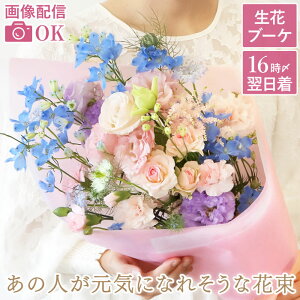 ytwzފ      w ̐lCɂȂꂻ ԑ AB x Q    蕨   މ@j Cj ybg   L t