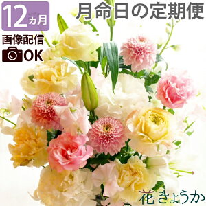  wԂ̒()yقR[X12zx     w AWg ԑ   蕨 