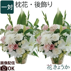 ytwzފ       w Ƒ   ΁x AWg   @ ʎ AW   d  bZ[W 蕨  