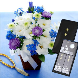 ytwzފ    Zbg Ђ܂w    낤 MtgZbx    蕨  Zbg 3 AWg @v @  