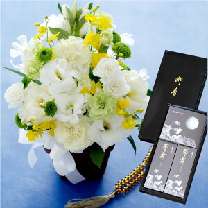 ytwzފ    Zbg Ђ܂w    낤 MtgZbx    蕨  Zbg 3 AWg @v @  