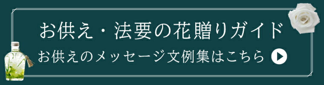 楽天市場 お供え花ギフト専門店 生花 プリザ ハーバリウム等様々な形でお花を販売 お供え花ギフト専門店 花きょうか トップページ 楽天市場 お供え花ギフト専門店 生花 プリザ ハーバリウム等様々な形でお花を販売 お供え花ギフト専門店 花きょうか トップページ