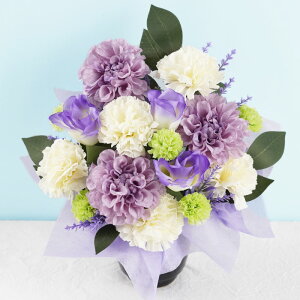 ytwzފ   \[vt[    w \[vt[ x d AWg ͂Ȃ sN 蕨    @ @v d d 