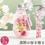 【日付指定可】お彼岸 法事 お供え 仏壇 花 枯れない花 造花 『 さくら ハーバリウム L 』 お悔やみ 贈り…