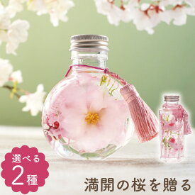 【日付指定可】お彼岸 お悔やみ 贈り物 お供え 花 お供え花 造花 『 桜 ハーバリウム S』 一周忌 御仏前 お供え物 仏花 プリザーブドフラワー 枯れない花 供花 献花 命日 供物 仏壇用 四十九日 49日 お悔み ペット 犬 猫 うさぎ サクラ さくら sakura 花 亡くなった