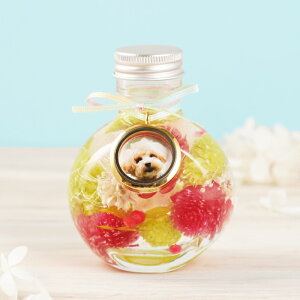 ytwz ybg AObY ybg{ w ӂӂ [ n[oE x  蕨  tHgt[   vU[uht[ d ~j    