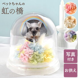 ペット お悔やみ 贈り物 ペット お供え 虹の橋 プリザーブドフラワー 犬 【日付指定可】 『メモリーポット』 花 プリザ 仏花 写真入り ミニ ドーム ケース入り ペット供養 アレンジメント 命日 供花 四十九日 法要 御霊前 仏壇用 枯れない花 即日発送 供物 一周忌 お彼岸