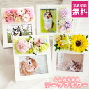 【日付指定可】お彼岸 ペット お悔やみ 贈り物 『 メモリアル フォトフレーム 』 花 写真立て 犬 お供え 造花 遺影 ペット供養 写真付き プリザーブドフラワー 仏花 お供え物 フォトスタンド 供花 仏壇 仏前 お花 命日 ペット用 お供え花 グッズ お花 写真