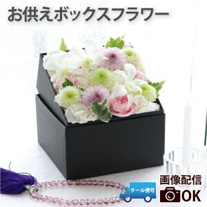 ytwzފ    AWg  t[{bNX w   {bNXt[ x  蕨  dp  t[AWg 