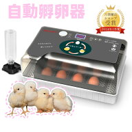 【17日23:59まで全品5%OFF】【日本語説明書付き】自動孵卵器 大容量 恒温孵化器 【1年間保証】インキュベ…