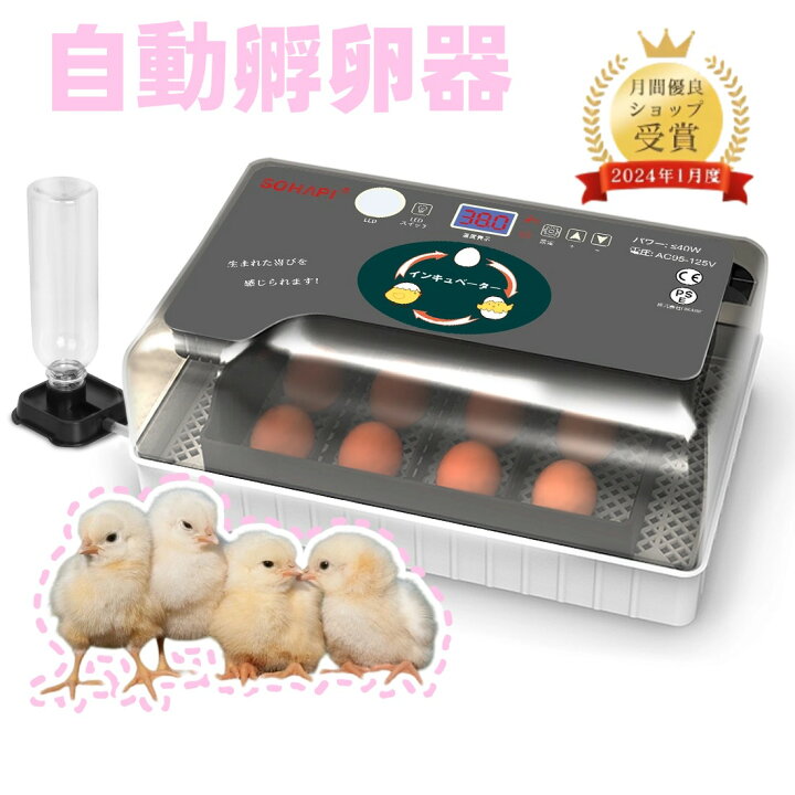 楽天市場】【20日23:59まで全品5%OFF】【日本語説明書付き】自動孵卵器 