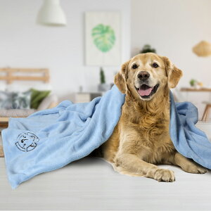 y23:59P5{+Si5%OFFIzybgp^Iyz̓AbvIzp^I z }CNt@Co[ z^I oX^I ̐@^I FI