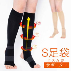 楽天市場 兼子ただしの通販