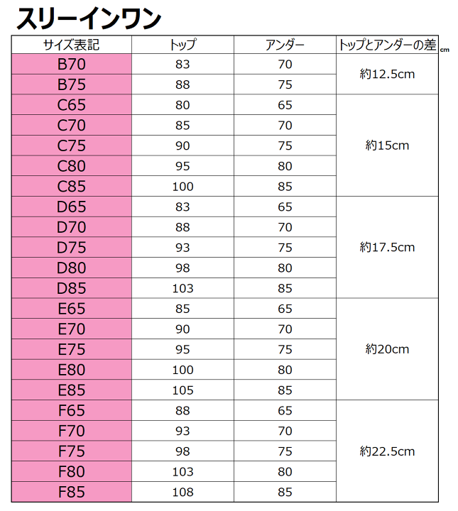 楽天市場】ティナプリ BeVi (ビヴィ) スリーインワン（B-Dカップ