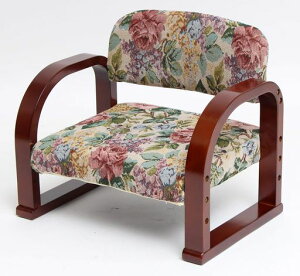 r[^(Vita)胉NN֎q54.5xs41x46cm[^CvSuԕ\3iKT|[g֎qI|am֎q