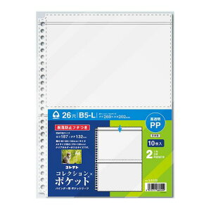 RNgoC_[p|Pbg[tRNV|PbgB5-L262|PbgS-5120