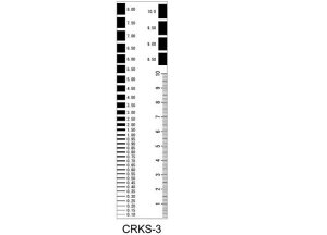 }C]bNXNbNXP[35x150mmCRKS-3
