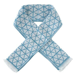 O^IECOdeN[ЂڐG⊴0004(u[)wlfB[X8x90cm094991-0004-01