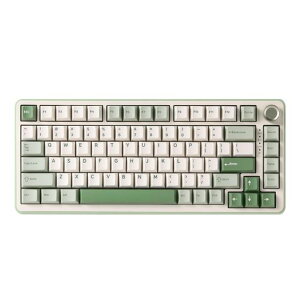 YUNZII B75 PRO 75% �K�X�P�b�g�Q�[�~���O�L�[�{�[�h �������J�j�J���L�[�{�[�h BT/2.4G/�L�� ���C�����X �z�b�g�X���b�v ���� RGB �m�u�t���J�X�^���L�[�{�[�h Mac/Win�p �Z�K�F�؎擾 (�O���[��, �c